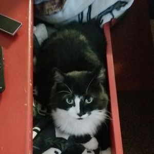 Meet your Posher, Jesse